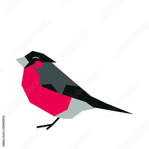 Red Bird illustration bullfinch robin
