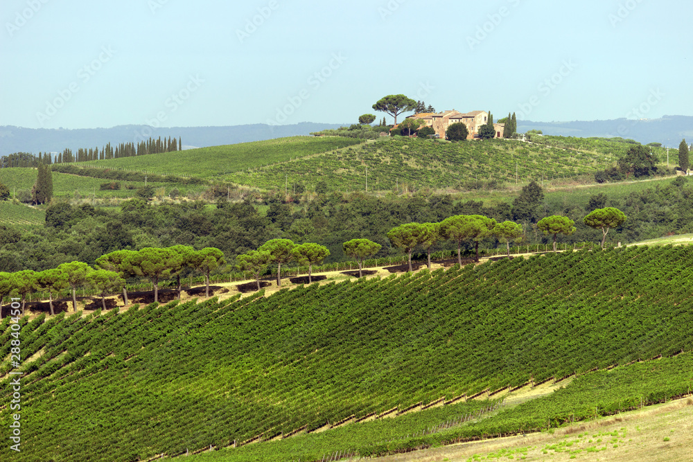 View of the Tuscan hills near the city of Montepulciano, Italy