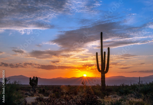 Arizona Desert Sunrise Rays & Cactus