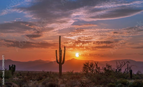 Sunrise In the Arizona Desert With Cactus & Mountain Range