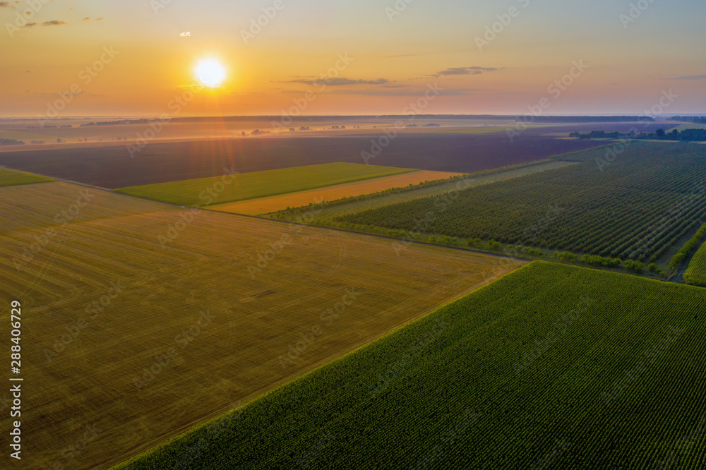 Fototapeta premium Aerial drone view of cultivated farmland and fields during the summer in Wales,