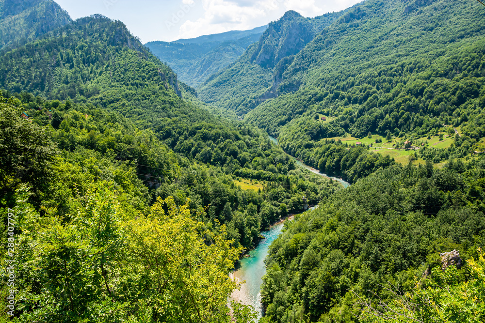 Turquoise blue river Tara in National Park Durmitor, Montenegro, Europe