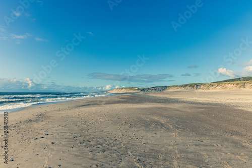 Wide beach with sand dunes