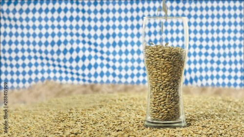 Beer glass on malt and wheat grains for brewing and whiskey. Against the background of the Bovarian flag Oktoberfest which is waving in the wind. Slow motion photo