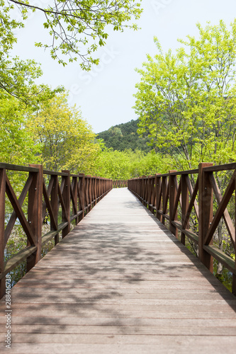 Gwanju ecological park in South Korea.