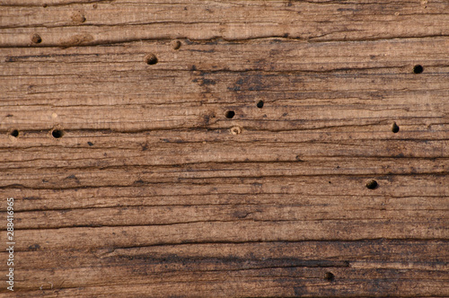 Wooden background of dark color