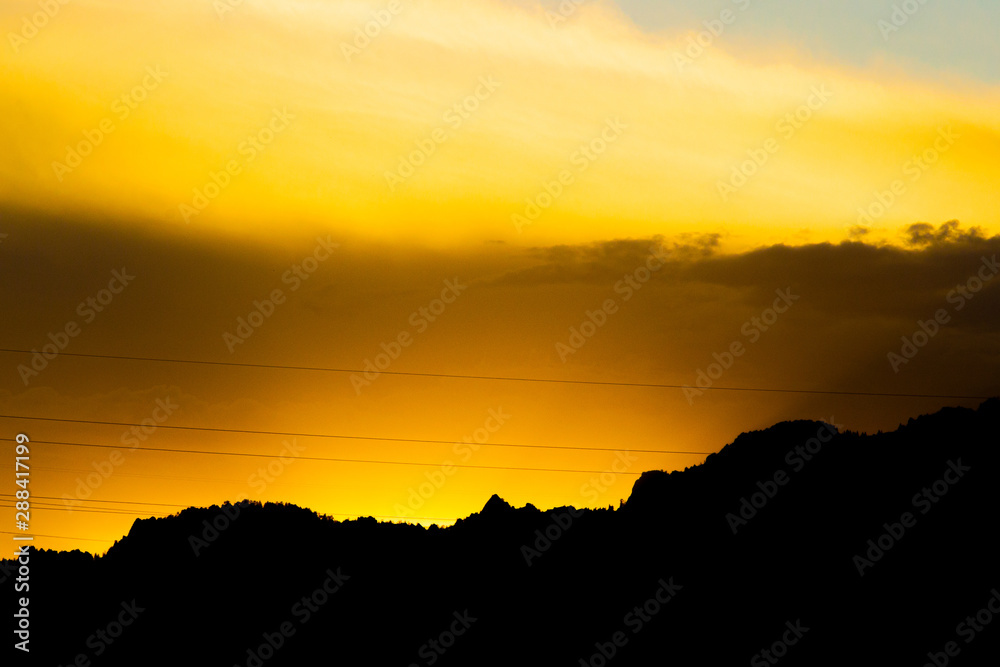 Obraz premium Tigers Eye