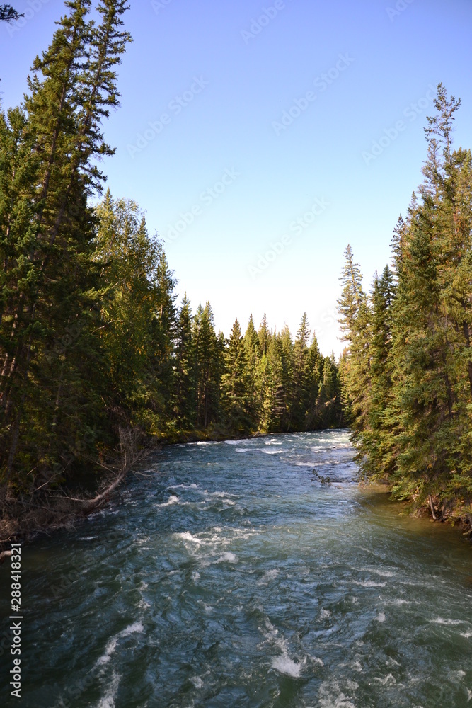 Maligne River from the Fifth Bridge Maligne River from the Fifth Bridge