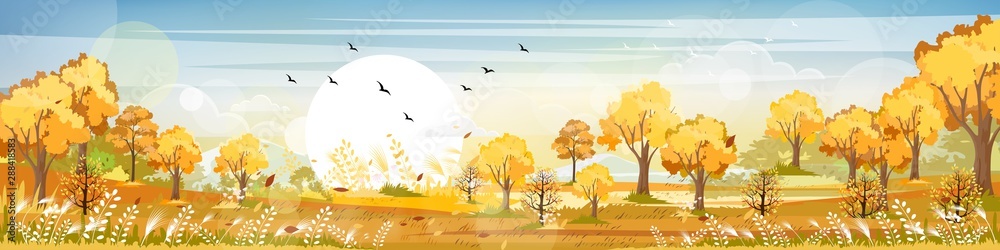 Panorama of Countryside landscape in autumn, Vector illustration of horizontal banner of Autumn landscape, barn, mountains and maple leaves falling from the trees in yellow foliage. Fall seasons