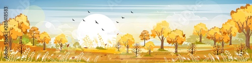 Panorama of Countryside landscape in autumn  Vector illustration of horizontal banner of Autumn landscape  barn  mountains and maple leaves falling from the trees in yellow foliage. Fall seasons