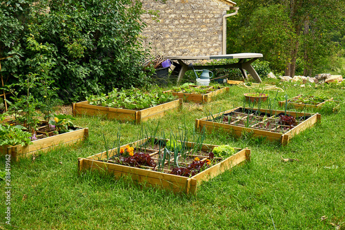 Organic Garden In Medieval Village On A Sunny Day
