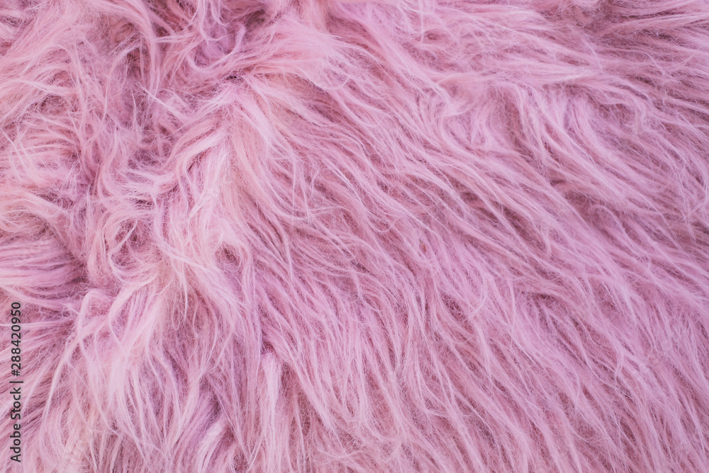 Pink Fur 