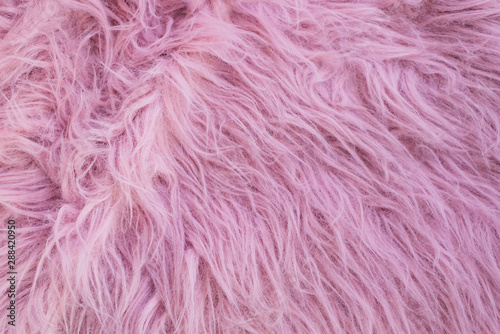 Pink Fur 