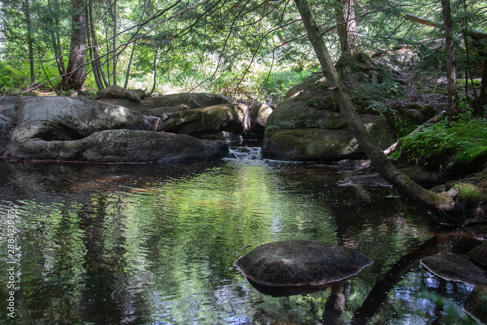 Picturesque Muskoka River on High Falls trail in Muskoka in summer Picturesque Muskoka River on High Falls trail in Muskoka in summer