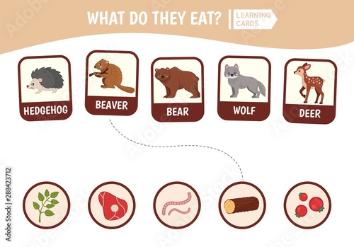 Matching children educational game. Match of animals and food. Activity for pre sсhool years kids and toddlers.
