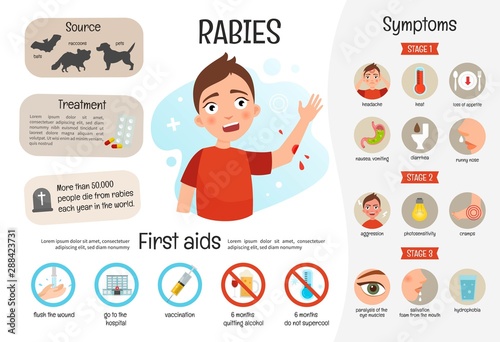 Vector medical poster rabies. Symptoms of the disease.  photo
