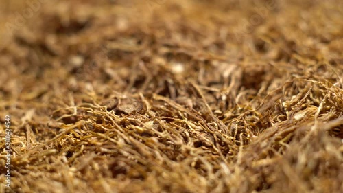 Dried tobacco leaves ready for further processing