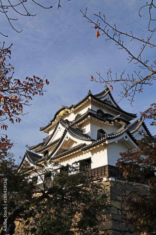 晩秋の彦根城