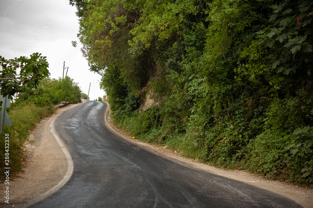 asphalted mountain road among trees asphalted mountain road among trees