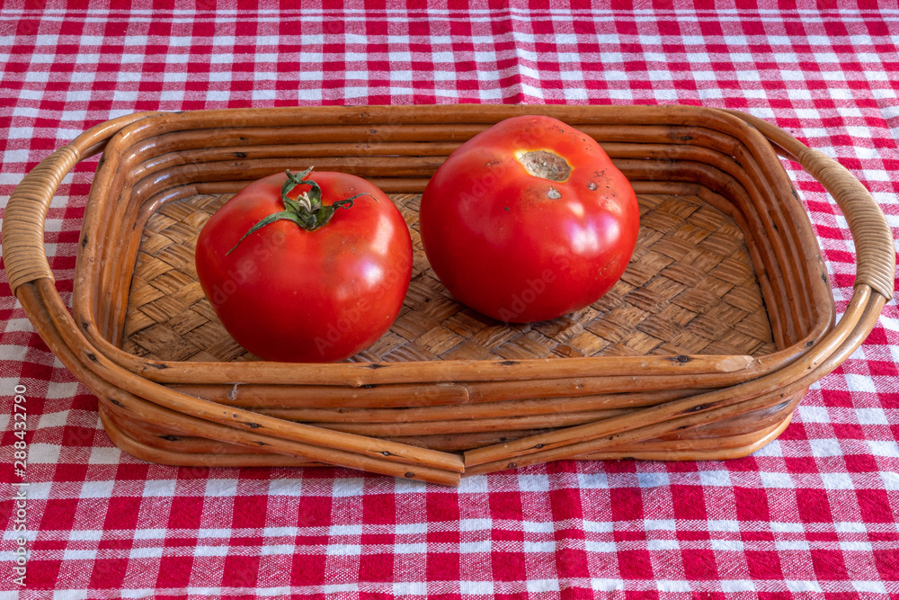 A kaki fruit over a red and white checkered cloth A kaki fruit over a red and white checkered cloth