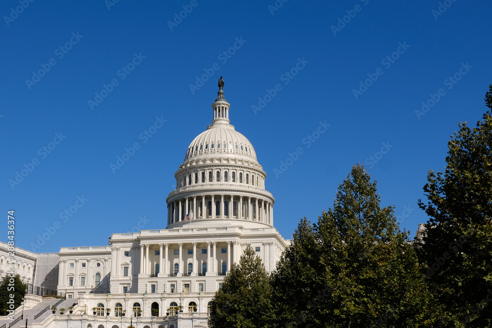 Fototapeta premium Capital Hill Building closeup with blue sky in Washington D.C.,USA