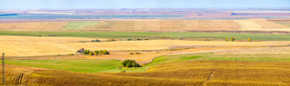 Panoramic view of the countryside, agriculture field.