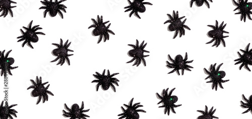 Halloween black spiders - overhead view flat lay