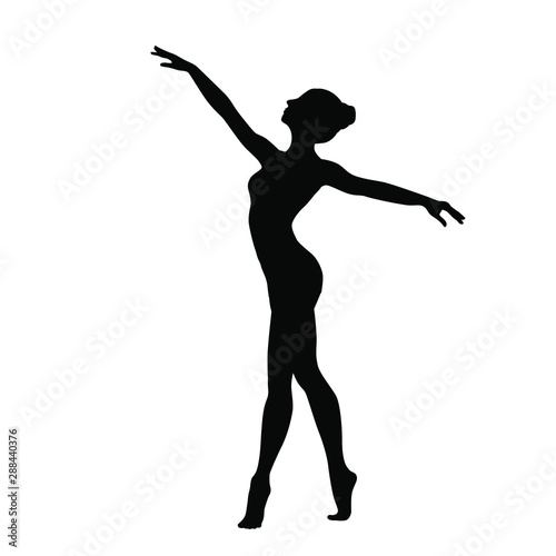 ballet dancer poses silhouette © adidesigner23