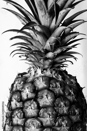 black and white abstract pineapple