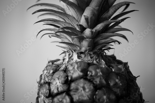 close-up pineapple black and white