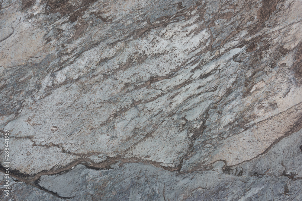 Grey sedimentary rock texture closeup
