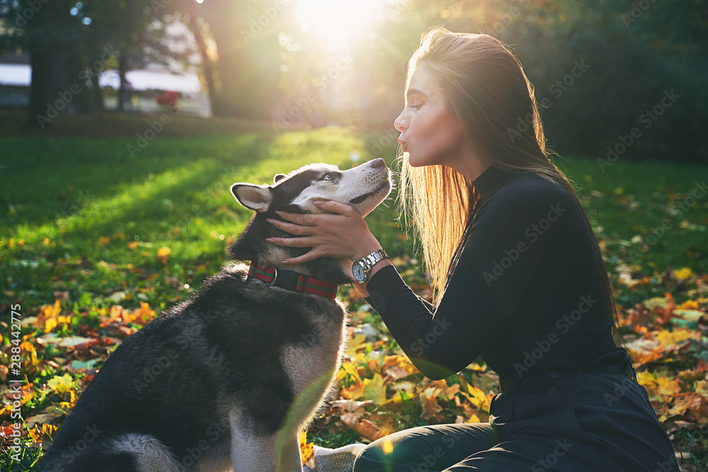 Young beautiful girl playing with her cute husky dog pet in autumn park covered with red and yellow fallen leaves