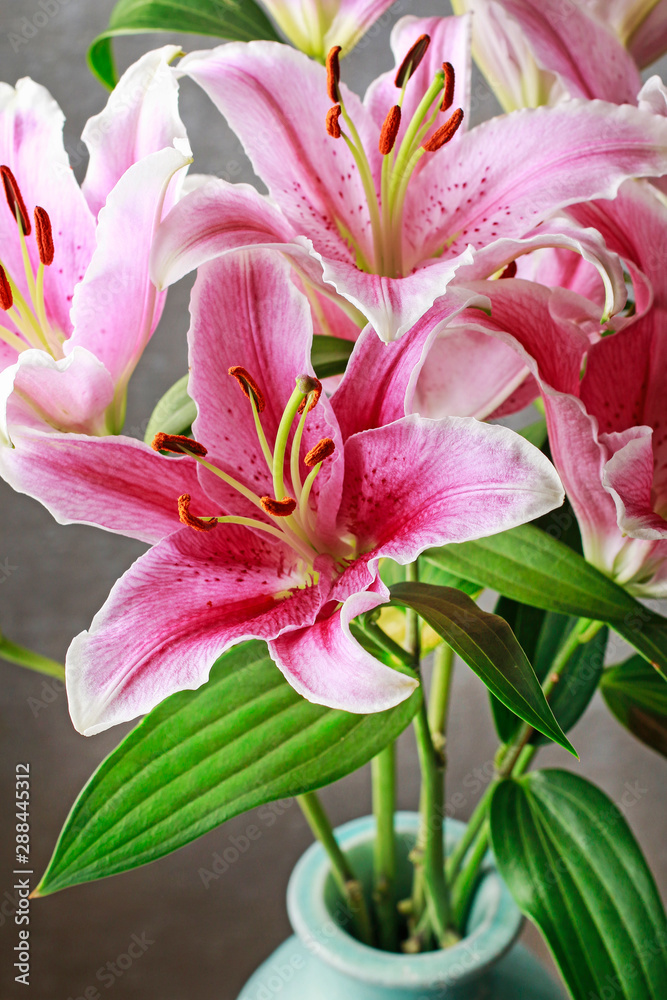 Pink and red lily flowers on grey stone background.