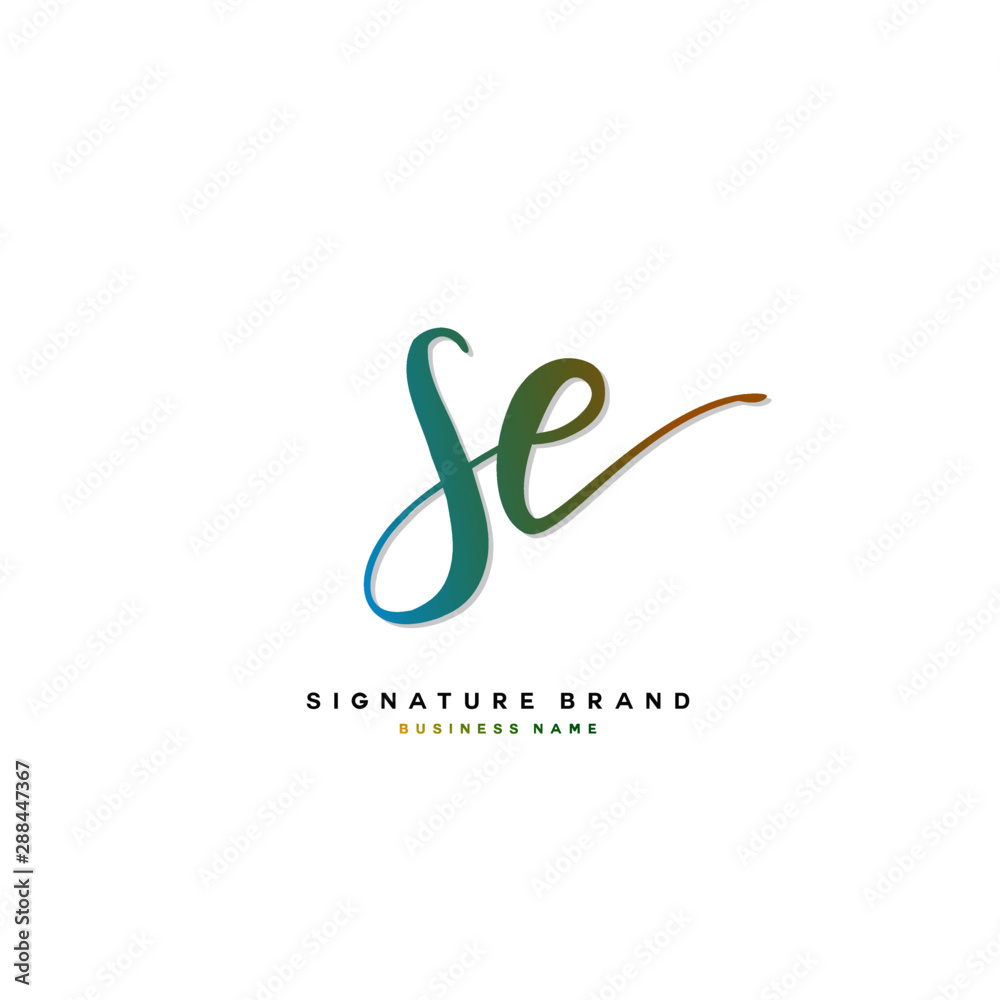 S E SE Initial letter handwriting and signature logo concept design. S E SE Initial letter handwriting and signature logo concept design.