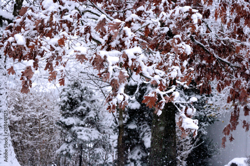 snowing
