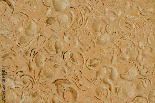 Organic texture of natural stone with prints of sea shells close-up muted pink tone with a gray brownish tint.