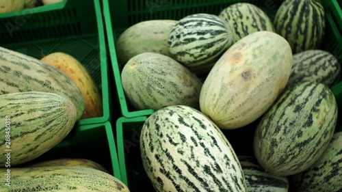 Wallpaper Mural melon fruit on the counter selling Torontodigital.ca