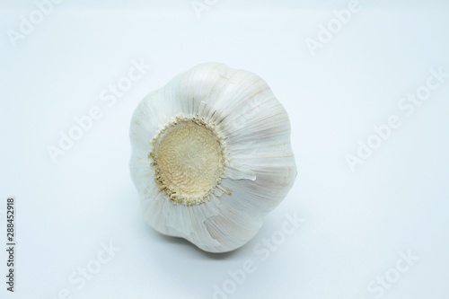 The head of garlic is located on a white background
