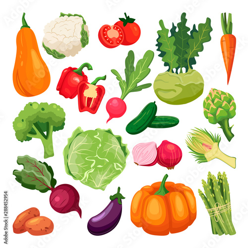 Farm fresh vegetables set. Vector flat cartoon illustration. Isolated broccoli, pumpkin, asparagus, artichoke, kohlrabi