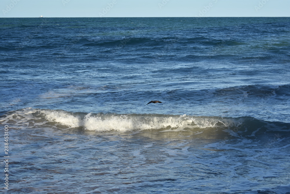 Obraz premium o mar da praia de boa viagem, em Recife