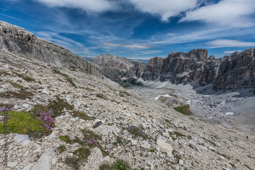 landscape forest in trentino with dolomiti mountain