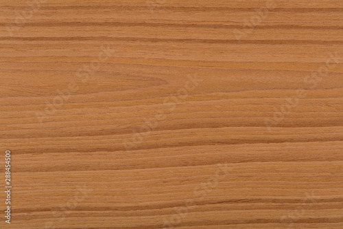New expensive brown oak veneer background. High quality texture