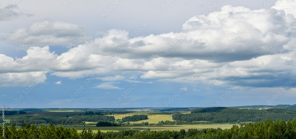 Picturesque wheat fields among the forests. Panoramic view.