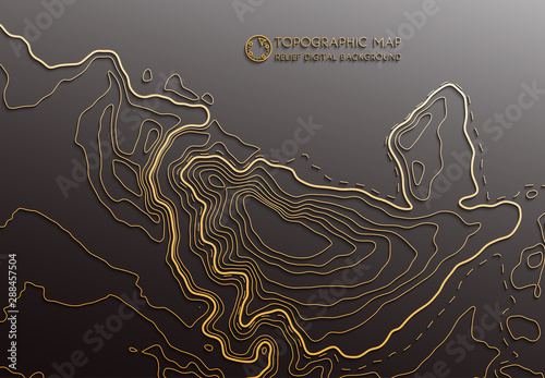 Map line of topography. Vector abstract topographic map concept with space for your copy. Black and white wave. Abstract paper cut. Abstract colorful waves. Wavy banners. Color geometric form