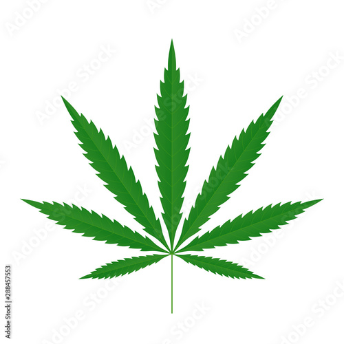 Cannabis leaf icon. Green silhouette indica sativa isolated white background. Herbal medicine herb plant. Natural weed hemp. Addiction smoke drug Illegal narcotic marijuana design. Vector illustration