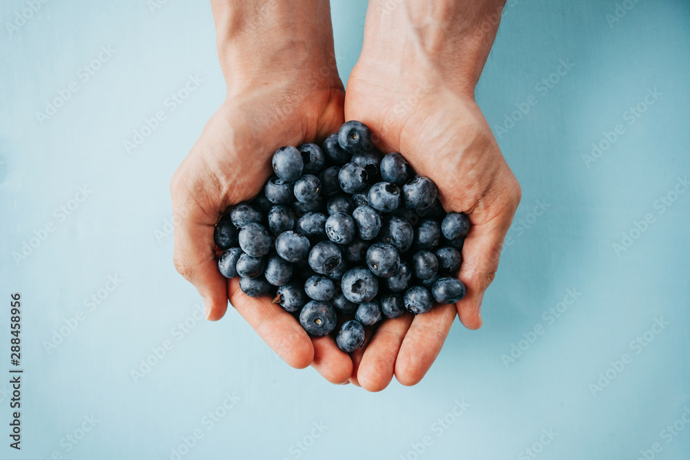 Closeup man holds blueberries in hands on a blue background. Source of vitamins and diet food or berries. - obrazy, fototapety, plakaty 