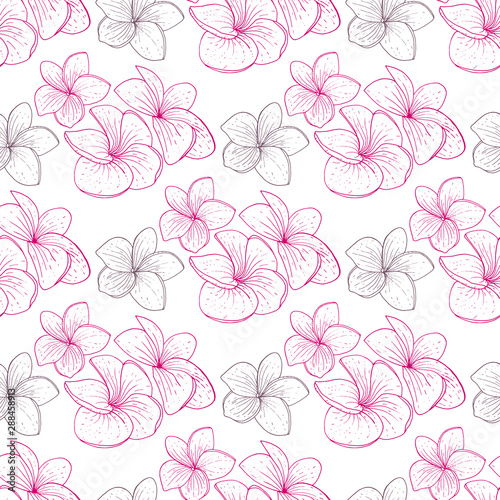 Seamless pattern with Plumeria. Endless texture for wedding design with Frangipani.
