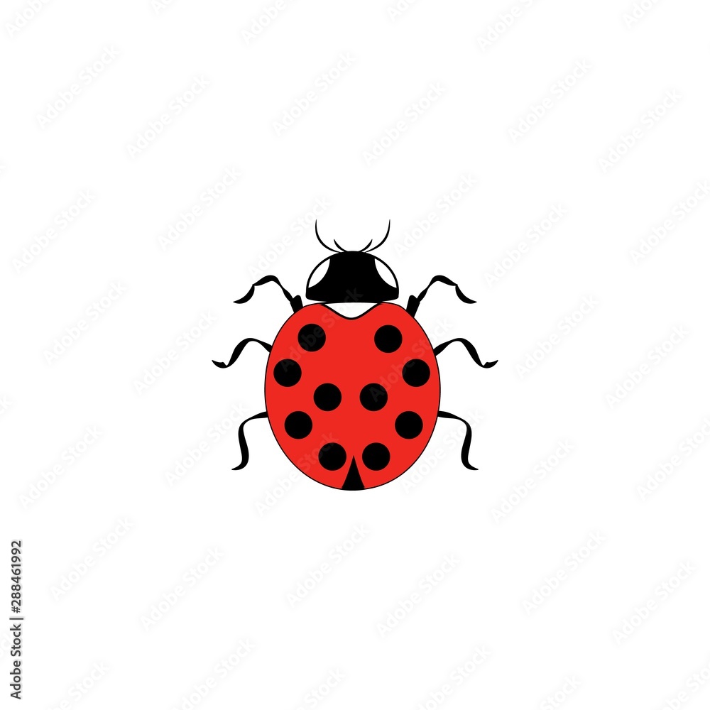 Fototapeta premium Ladybird isolated. Illustration ladybug. Cute colorful sign red insect symbol spring, summer, garden. Template for t shirt, apparel, card, poster, etc. Design element Vector illustration.