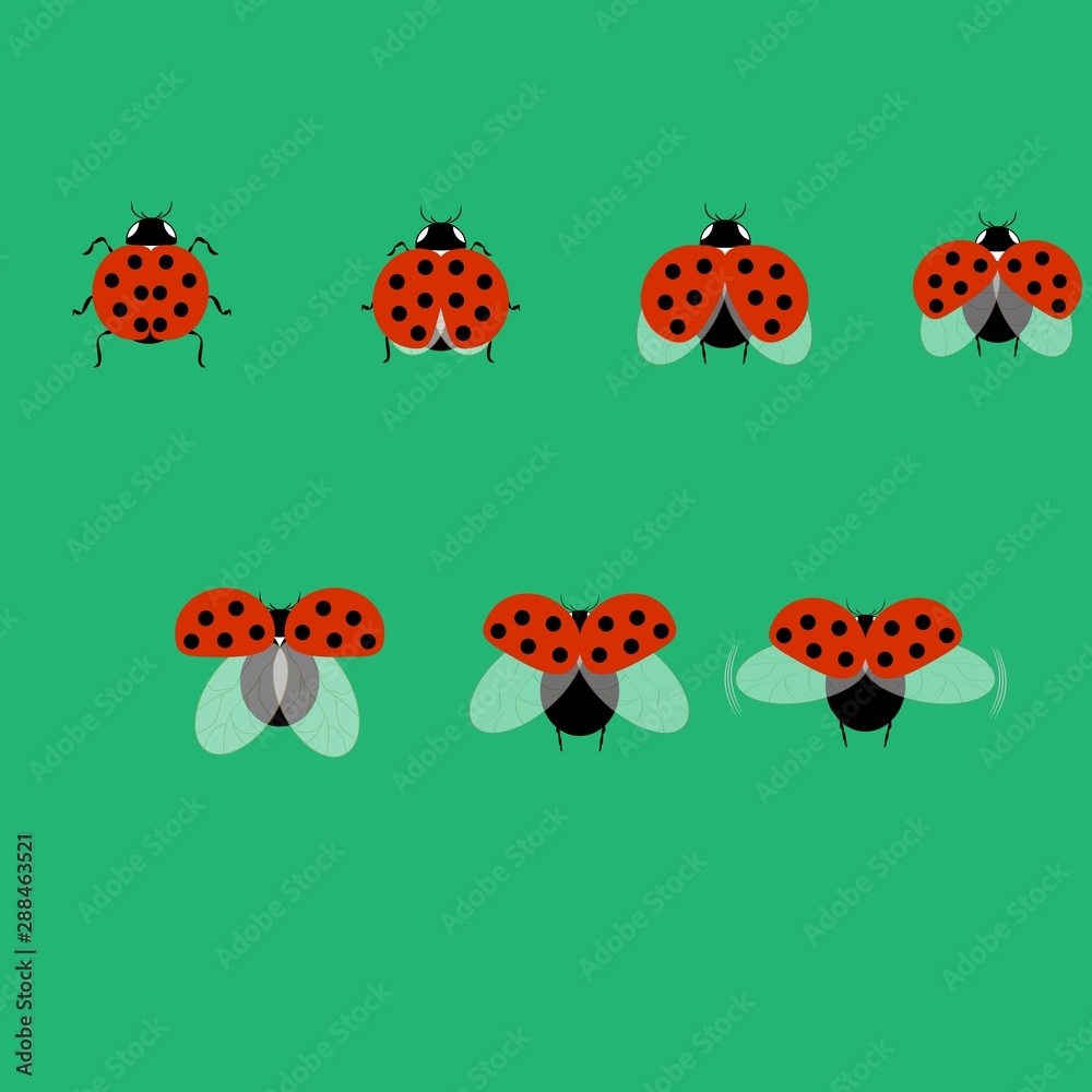 Ladybirds set. Illustration ladybug. Cute colorful sign red insect symbol spring, summer, garden. Template for t shirt, apparel, card, poster, etc. Design element Vector illustration. Ladybirds set. Illustration ladybug. Cute colorful sign red insect symbol spring, summer, garden. Template for t shirt, apparel, card, poster, etc. Design element Vector illustration.