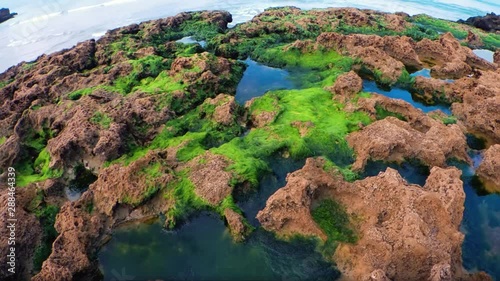 Reefs on the Atlantic ocean. Waves roll on the shore. Sun and rocks.